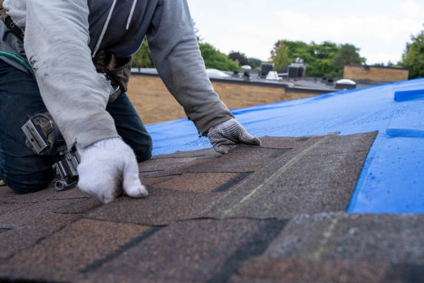 Best Commercial Roofing Services  in Sterling Heights, MI