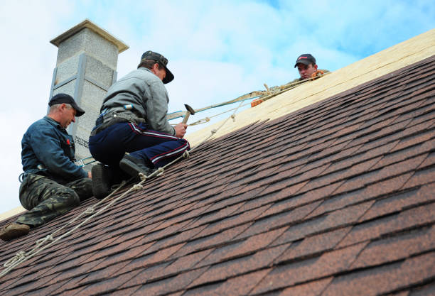 Sealant for Roof in Sterling Heights, MI